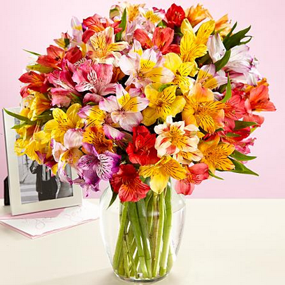 Discount flowers delivery ProFlowers Coupons & Free Shipping Codes. Are you wishing for free shipping at Pro Flowers? Consider your wish granted when you select a coupon code from below and apply it during checkout. ProFlowers goal is to connect customers with fresh from the field flowers as well as stand behind a seven day freshness guarantee for shipped flowers.